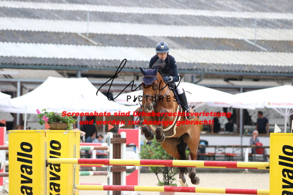 IMG_8475 | lmwpictures - Realisiert mit Pictrs.com