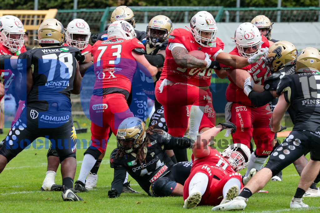 GFL: Paderborn Dolphins vs. New Yorker Lions{date} -  | {headline}(Foto: Sebastian Sendlak / BOND) - Realisiert mit Pictrs.com