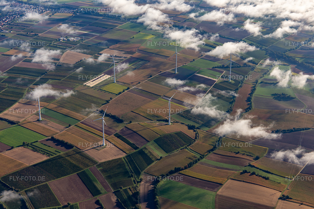 Luftbild: Windpark bei Freckenfeld mit Wölkchen in Freckenfeld im Bundesland Rheinland-Pfalz in Deutschland. Foto: IMG_143483.jpg vom 29.09.2024 durch Werner Riehm/FLY-FOTO.de