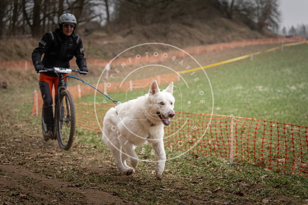 Pfotenfotografie_DV3A6922 | Hundefotografie, Tierfotograf, Pfotenfotografie, Fotoshooting Hund, Hunde Portrait, Hundesport, Hundeportraits, Heideshooting, Hunde, Sportfotograf, Hundefotograf, Turnierhundsport, THS,  - Realisiert mit Pictrs.com