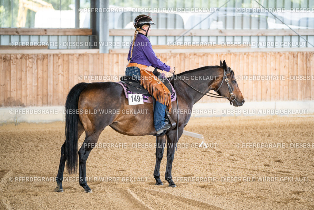 DSC01569 | Pferdegrafie