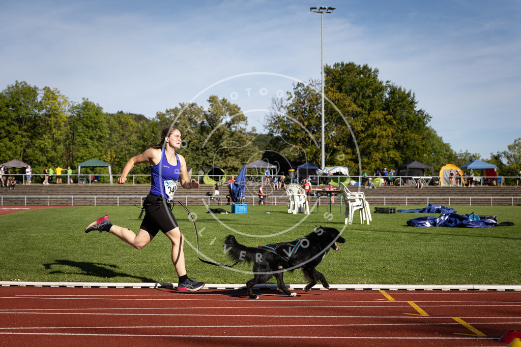 Pfotenfotografie_DV3A9307 | Hundefotografie, Tierfotograf, Pfotenfotografie, Fotoshooting Hund, Hunde Portrait, Hundesport, Hundeportraits, Heideshooting, Hunde, Sportfotograf, Hundefotograf, Turnierhundsport, THS,  - Realisiert mit Pictrs.com