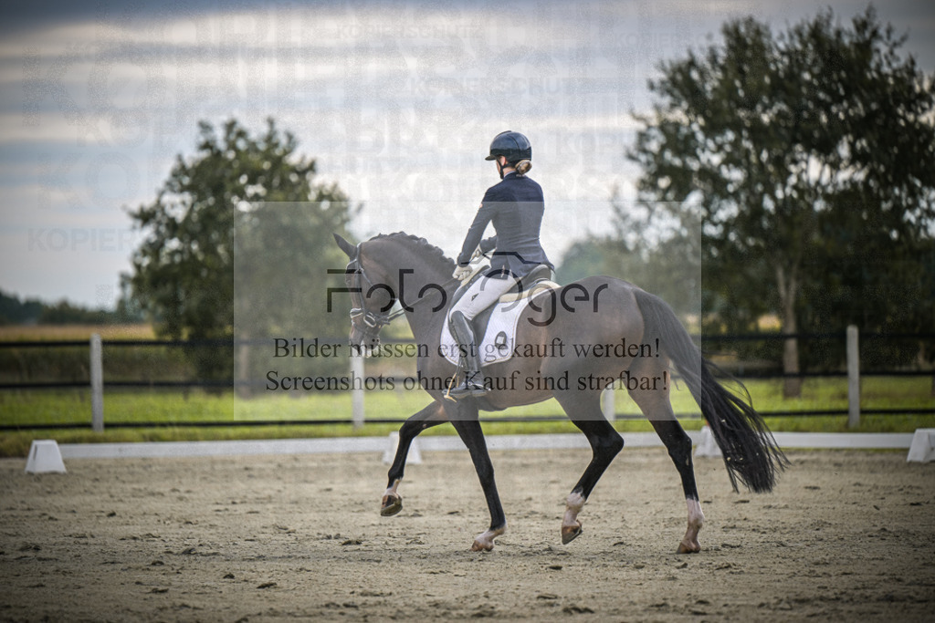 DOS_1428 | Entdecke hochwertige Reitturnierfotos von Foto Oger. Professionell, emotional und authentisch – jetzt Lieblingsmomente im Shop bestellen.Deutschlandweite Turnierfotografie. - Realisiert mit Pictrs.com