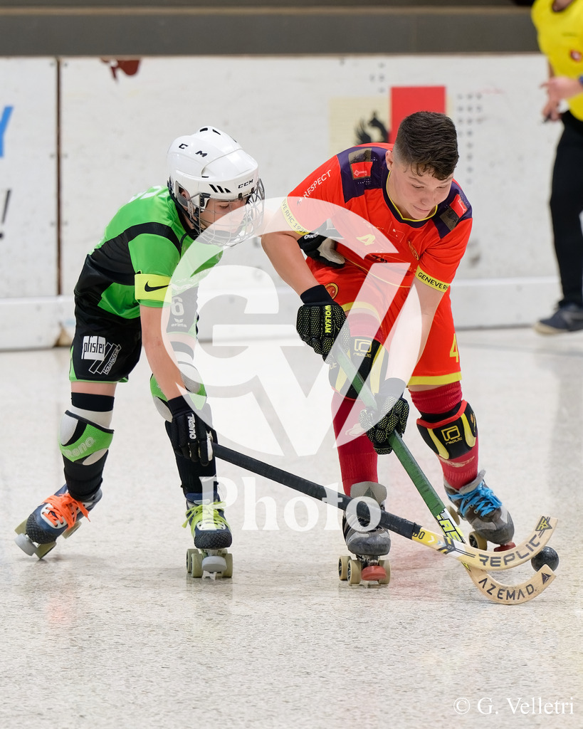 DSC_6747 | Velletri Photo