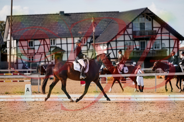 2026_10_03_Siefer-Hof_133612_Z63_96313852 | Professionelle Reitsport-, Turnier- und Eventfotografie von Robert Broda. Galerien mit ausgewählten und bearbeiteten Bildern direkt online ansehen und bestellen.