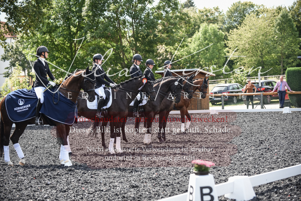 DSC_5162 | Pferde- und Turnierfotografie in Westsachsen. Pferdeportraits, Auftragszeichnungen und intuitive Kunst.