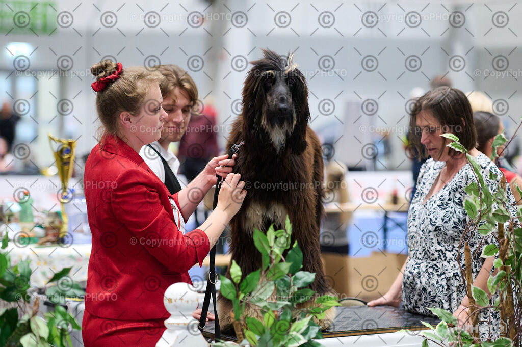 202406_ÖKV-IHA-Tulln24_DSC_3212 | proPHOTO - Realisiert mit Pictrs.com