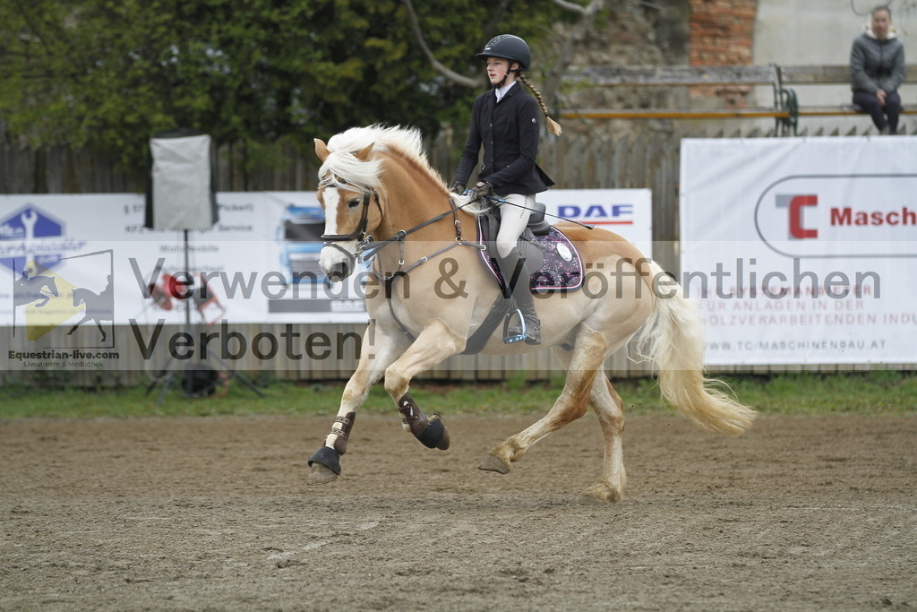 _MG_4399 | equestrian-live-com