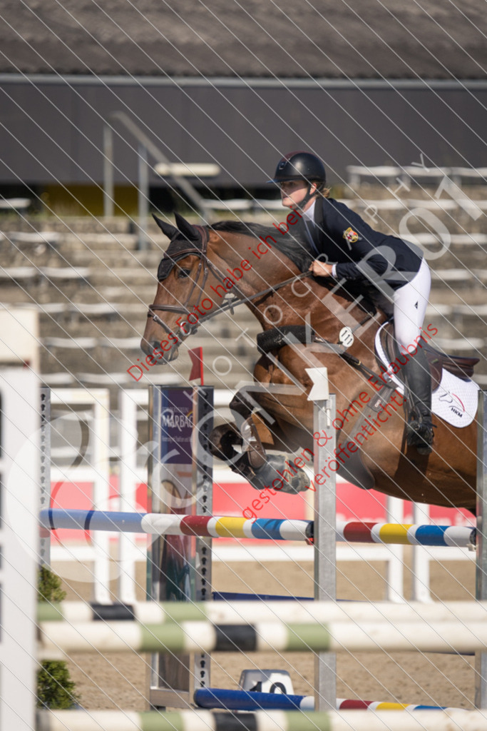 IMG_3959 | Sport-, Event- und Tierfotos in Profiqualität. Einfach auswählen, bestellen und herunterladen. Dein Moment – perfekt festgehalten.