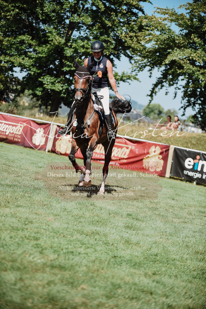 DSC_3367 | Pferde- und Turnierfotografie in Westsachsen. Pferdeportraits, Auftragszeichnungen und intuitive Kunst.