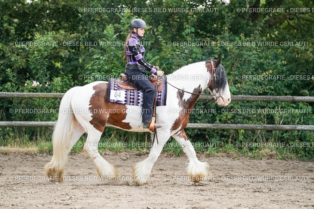 DSC05018 | Pferdegrafie