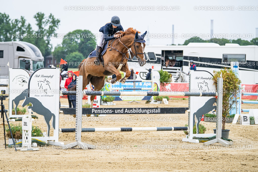 DSC07929 | Pferdegrafie