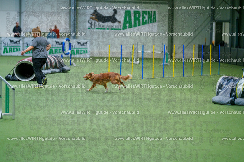 @allesWIRTHgut_Tierfotografie - www.allesWIRTHgut.de - 2604250825-7R506528 | Professionelle Tierfotografie in Mönchengladbach von Daniel Wirth (allesWIRTHgut). Liebevolle & natürliche Bilder von Hunden & Katzen für unvergessliche Erinnerungen.