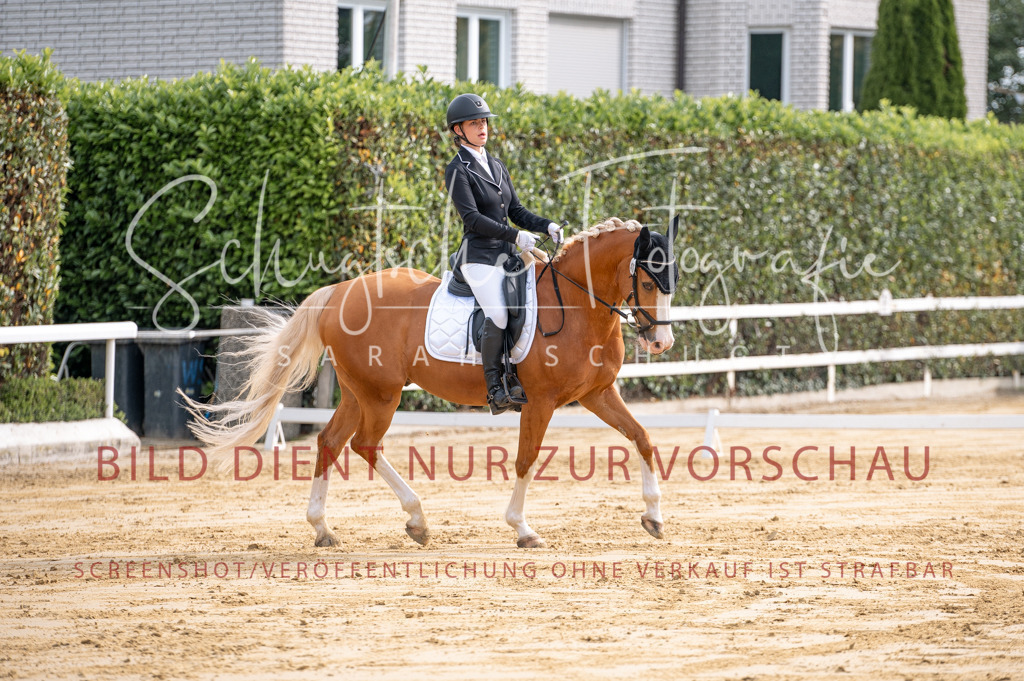 Schugtsche-Aluta25-40.DressurprfA_-134 | Schugtsche Fotografie - Realisiert mit Pictrs.com