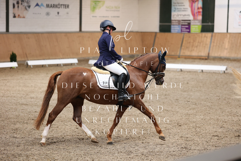 IMGM8667 | pl-fotografie