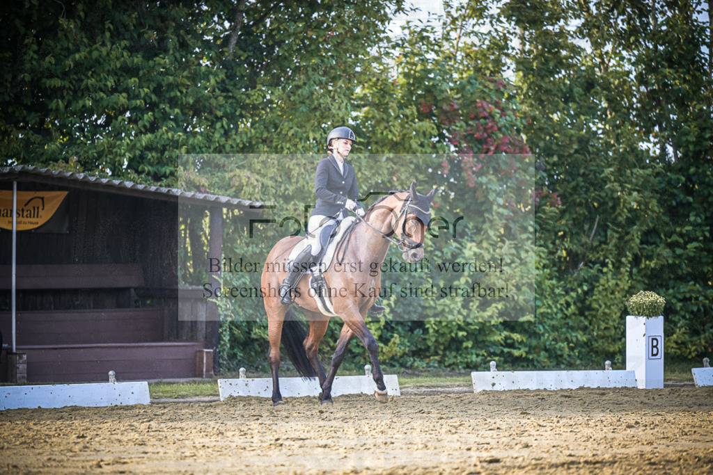 DOS_2174 | Entdecke hochwertige Reitturnierfotos von Foto Oger. Professionell, emotional und authentisch – jetzt Lieblingsmomente im Shop bestellen.Deutschlandweite Turnierfotografie. - Realisiert mit Pictrs.com