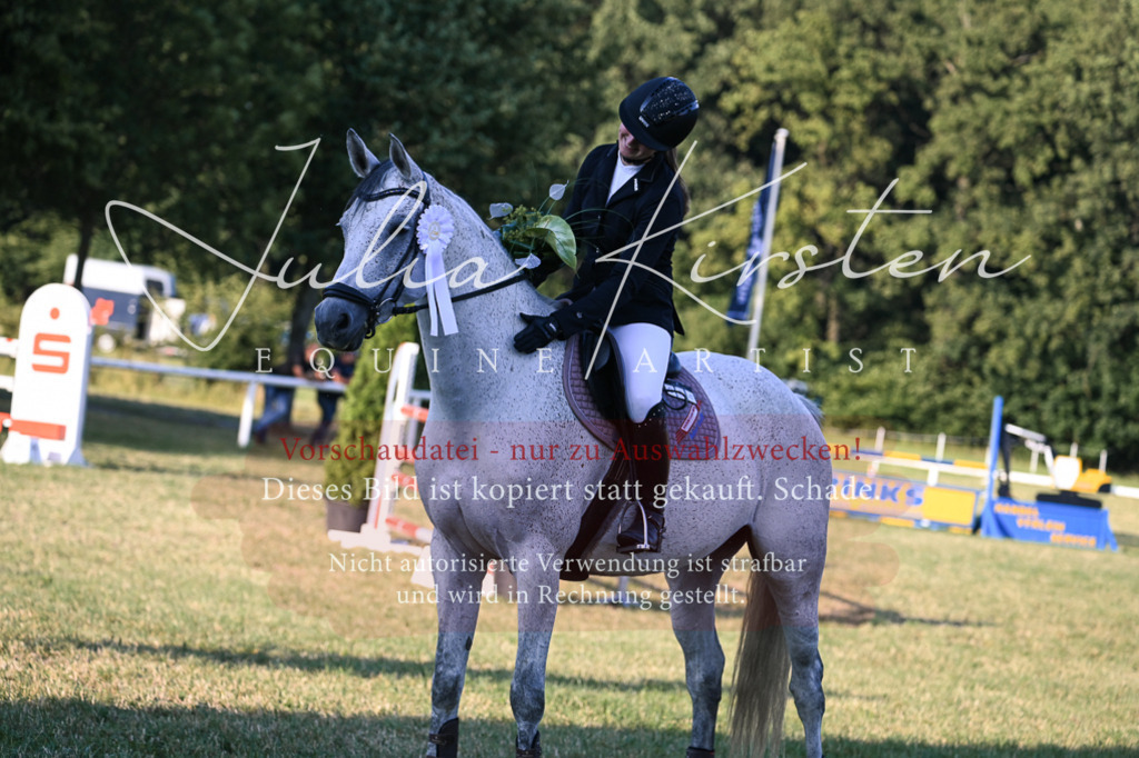 DSC_1904 | Pferde- und Turnierfotografie in Westsachsen. Pferdeportraits, Auftragszeichnungen und intuitive Kunst.
