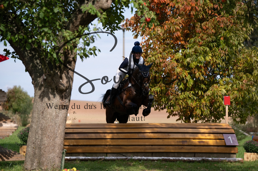 A7V03874 | Pferdefotograf