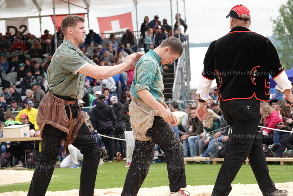 DSC03856 | Schwingen - Realisiert mit Pictrs.com