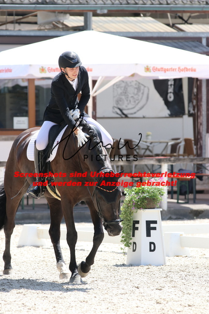 IMG_5070 | lmwpictures - Realisiert mit Pictrs.com