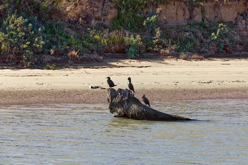 1H5A1799 | ansichtssache