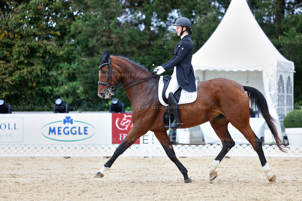 6-084-AMATUER-DRESSUR S_  -StoibPH-3569 | working equitationturnier fotograf videograf stoibphotography marixx film working equitation deutschland reitsport turnierfotografie eventfotografie equestrian events