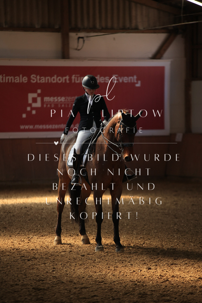 IMGT2911 | pl-fotografie