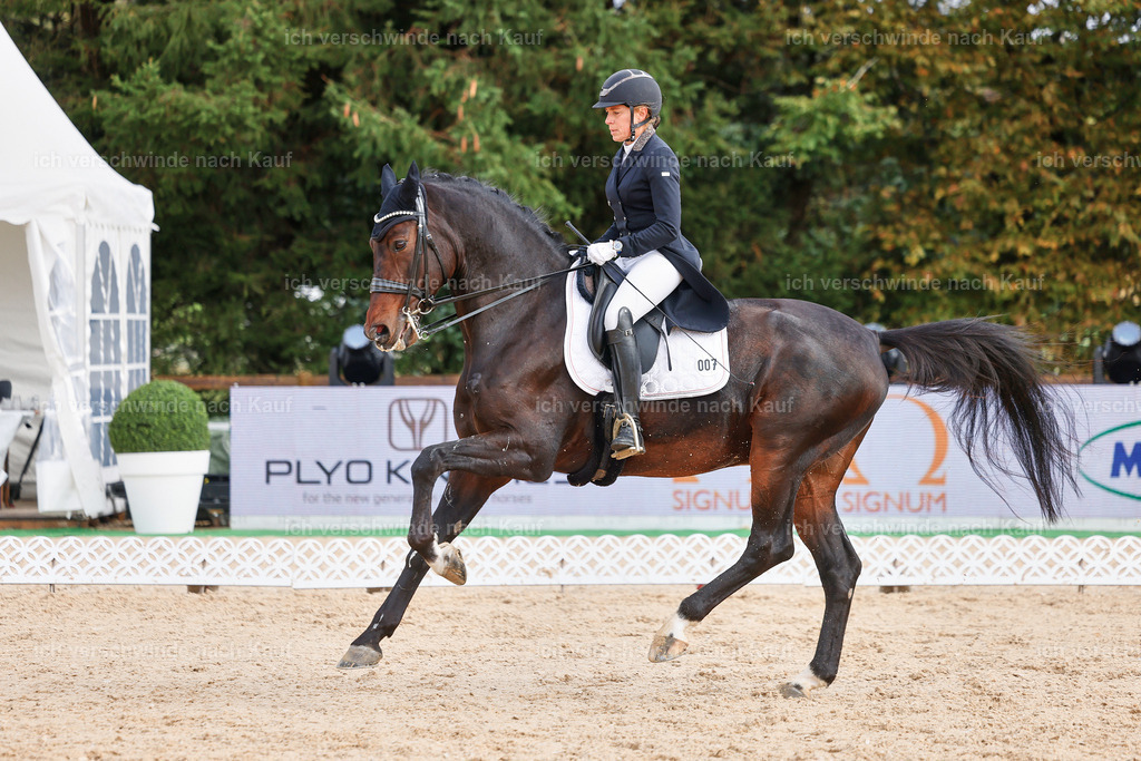 07-007-DRESSUR  S___  -StoibPH-5020 | working equitationturnier fotograf videograf stoibphotography marixx film working equitation deutschland reitsport turnierfotografie eventfotografie equestrian events