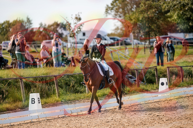 2026_10_03_Siefer-Hof_131047_Z63_74149670 | Professionelle Reitsport-, Turnier- und Eventfotografie von Robert Broda. Galerien mit ausgewählten und bearbeiteten Bildern direkt online ansehen und bestellen.