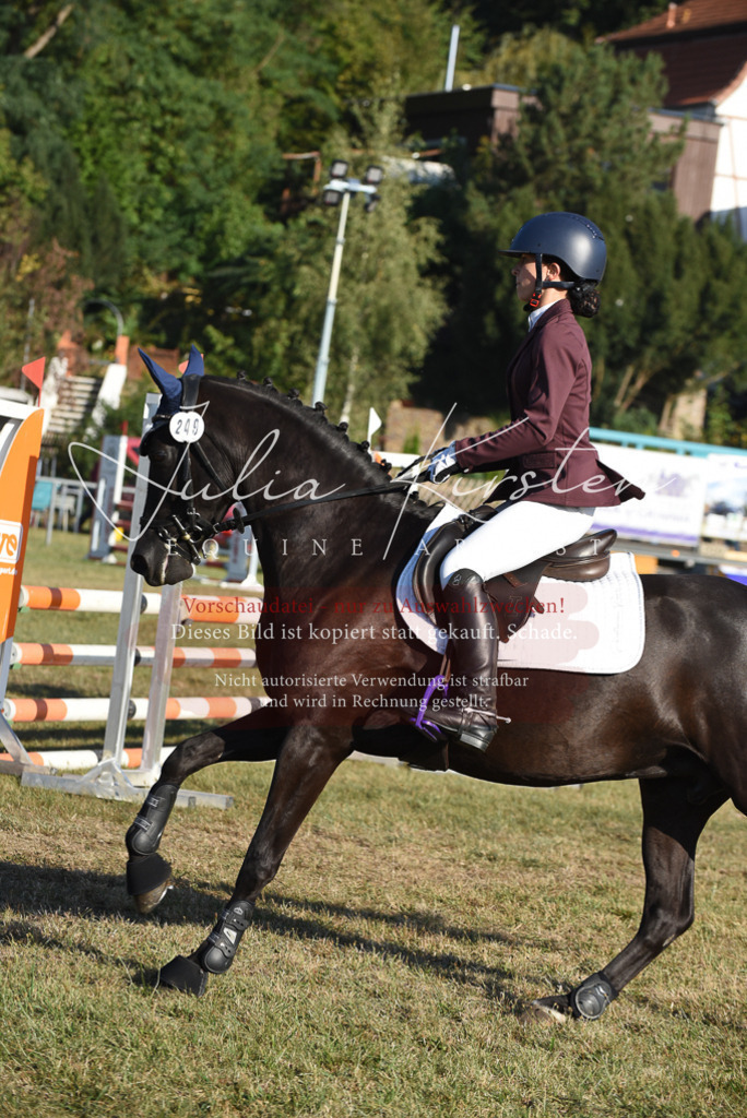 DSC_5085 | Pferde- und Turnierfotografie in Westsachsen. Pferdeportraits, Auftragszeichnungen und intuitive Kunst.
