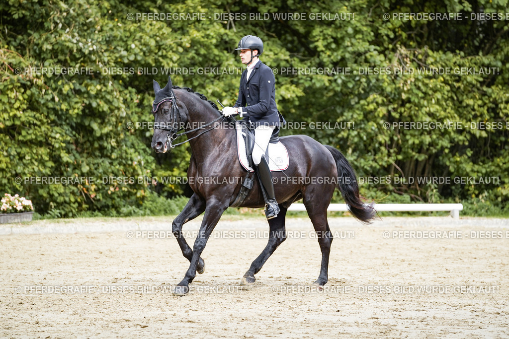 DSC05551 | Pferdegrafie