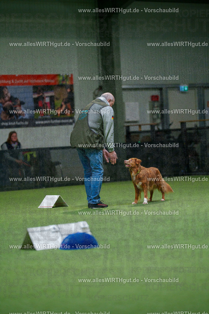 7R504356 | Professionelle Tierfotografie in Mönchengladbach von Daniel Wirth (allesWIRTHgut). Liebevolle & natürliche Bilder von Hunden & Katzen für unvergessliche Erinnerungen.