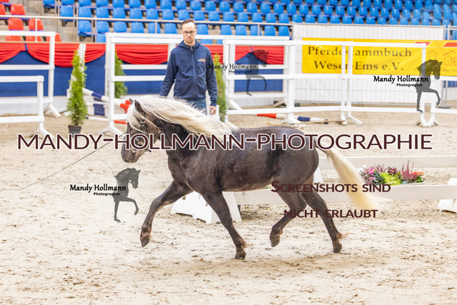KWERR (89 von 475) | mandyhollmannphotographie
