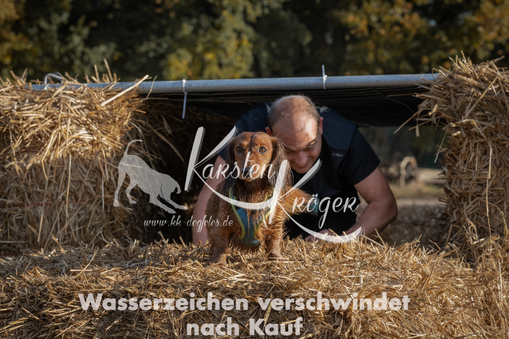 0956_ZZ95624 | kk-dogfotos