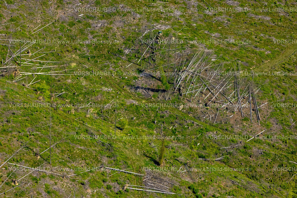 Brilon240503871 | Luftbild, Waldgebiet mit Waldschäden Kalamitätsflächen, östliches Waldgebiet des Flusses Hoppecke bei Brilon-Wald, Brilon, Sauerland, Nordrhein-Westfalen, Deutschland