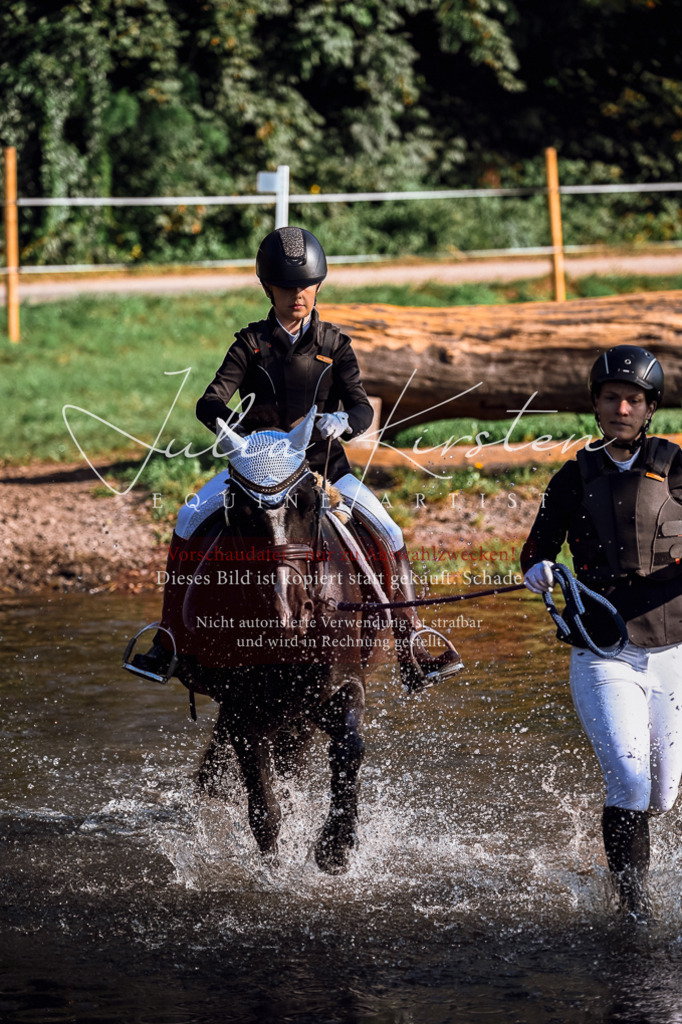 DSC_0390 | Pferde- und Turnierfotografie in Westsachsen. Pferdeportraits, Auftragszeichnungen und intuitive Kunst.