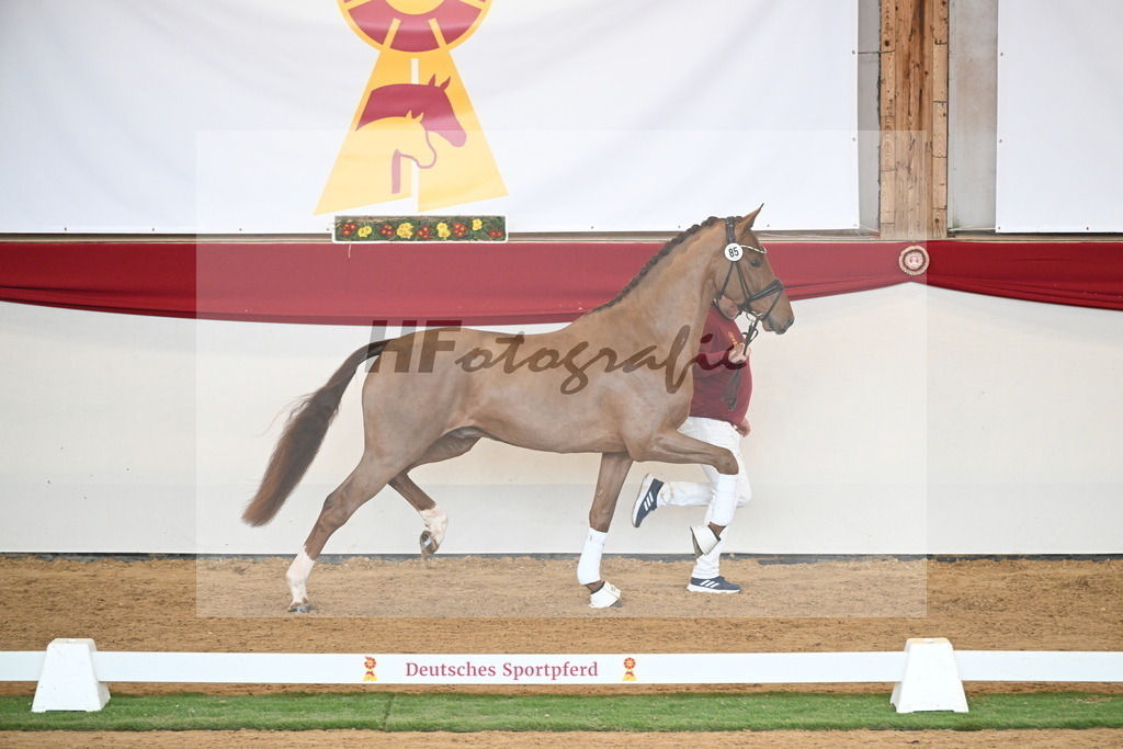 Kat.-Nr. 85 v. Vitalis_Wiens_2250780 | hf-fotografie - Realisiert mit Pictrs.com