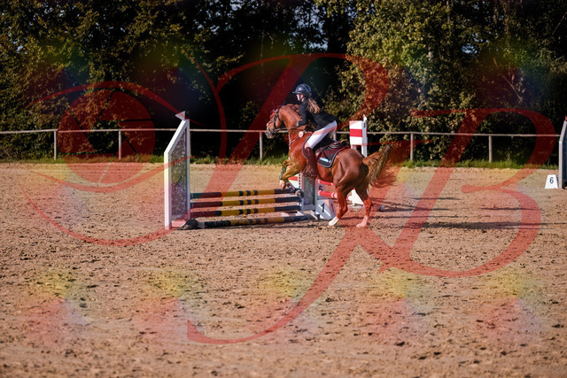 2026_10_03_Siefer-Hof_155744_Z81_77171783 | Professionelle Reitsport-, Turnier- und Eventfotografie von Robert Broda. Galerien mit ausgewählten und bearbeiteten Bildern direkt online ansehen und bestellen.