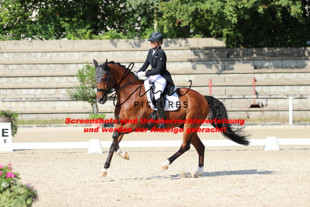 IMG_9135 | lmwpictures - Realisiert mit Pictrs.com