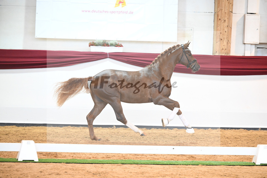 Kat-Nr. 74 v. Le Formidable_Maier_66220351 | hf-fotografie - Realisiert mit Pictrs.com