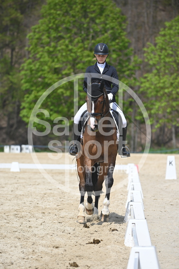 DSC_2362 | sattelsport - Realisiert mit Pictrs.com