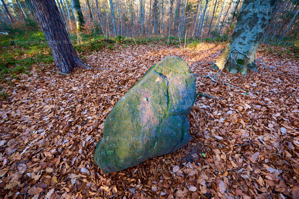 Kugelpechstein im Tharandter Wald 02 | Bedeutsame Landschaften Deutschlands - Realisiert mit Pictrs.com