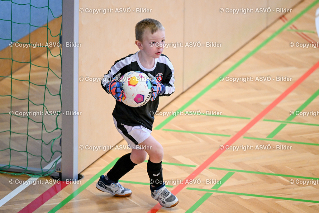 ASVÖ_ Fussball Nachwuchs Hallenturnier 2026_ SV Gallneukirchen_ 28.02.2026-68 | 28.02.2026, Gallneukirchen, AUT, ASVÖ, Fussball Nachwuchs Hallenturnier 2026, SV Gallneukirchen im Bild Teilnehmer U7©Harald Dostal / fodo.media - Realisiert mit Pictrs.com