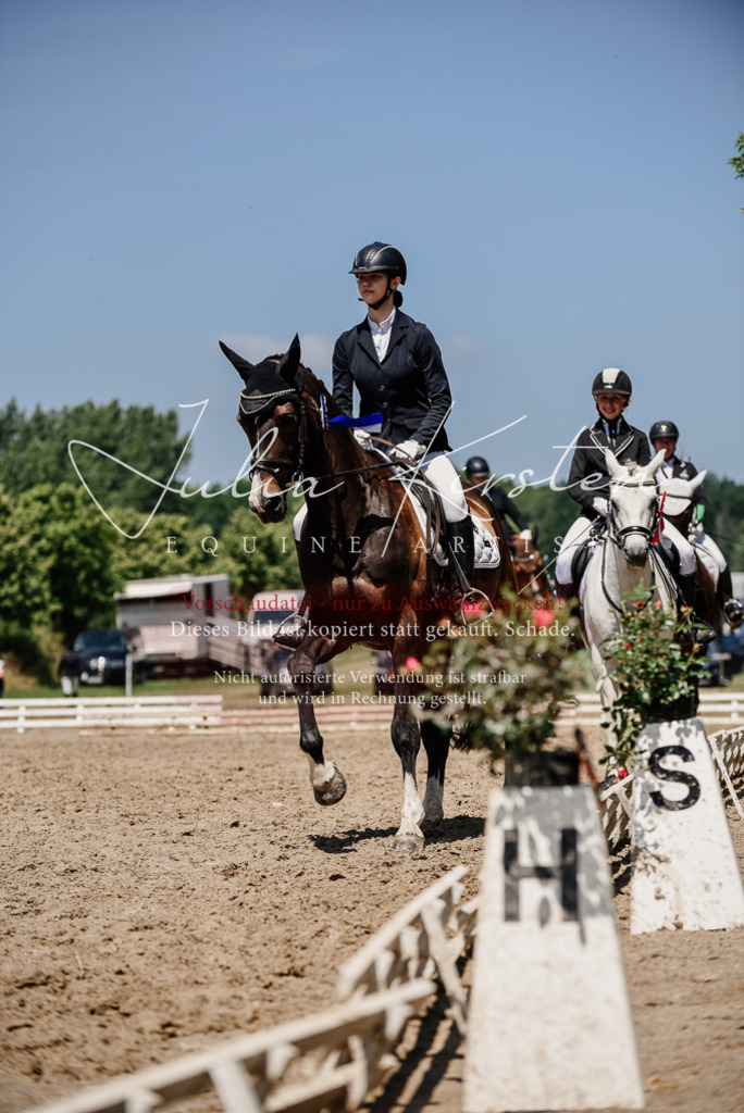 DSC_2069 | Pferde- und Turnierfotografie in Westsachsen. Pferdeportraits, Auftragszeichnungen und intuitive Kunst.