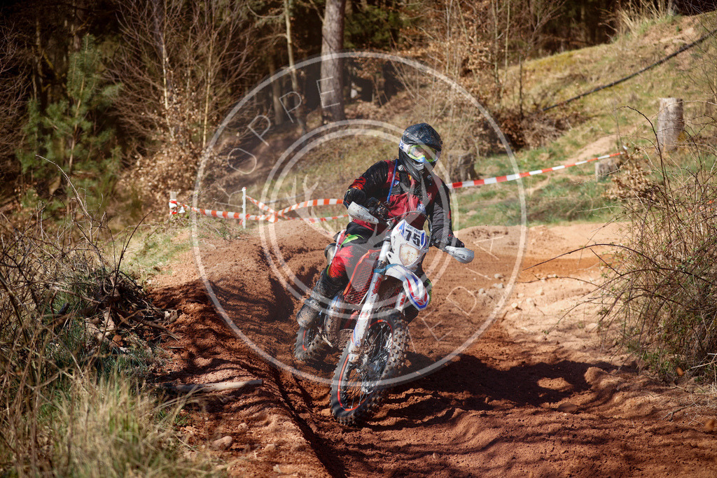 MernesIGE25_Lauf4-862 | koppe-media