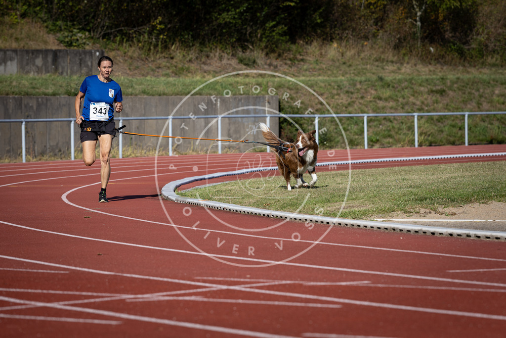 Pfotenfotografie_DV3A8693 | Hundefotografie, Tierfotograf, Pfotenfotografie, Fotoshooting Hund, Hunde Portrait, Hundesport, Hundeportraits, Heideshooting, Hunde, Sportfotograf, Hundefotograf, Turnierhundsport, THS,  - Realisiert mit Pictrs.com