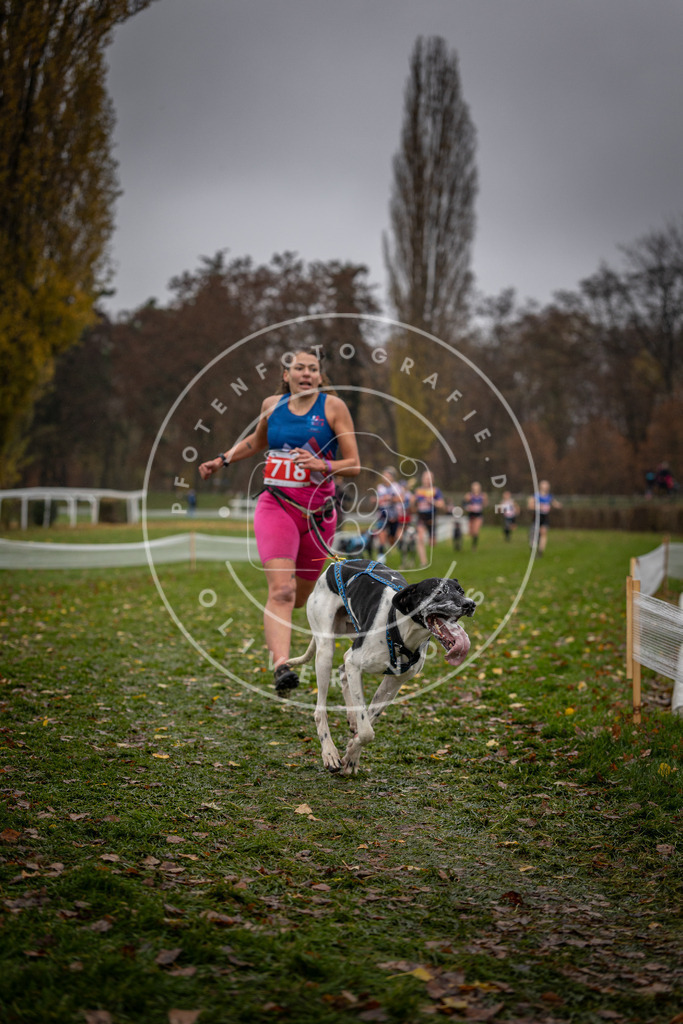 CaniXpix_DV3A9029 | Hundefotografie, Tierfotograf, Pfotenfotografie, Fotoshooting Hund, Hunde Portrait, Hundesport, Hundeportraits, Heideshooting, Hunde, Sportfotograf, Hundefotograf, Turnierhundsport, THS,  - Realisiert mit Pictrs.com