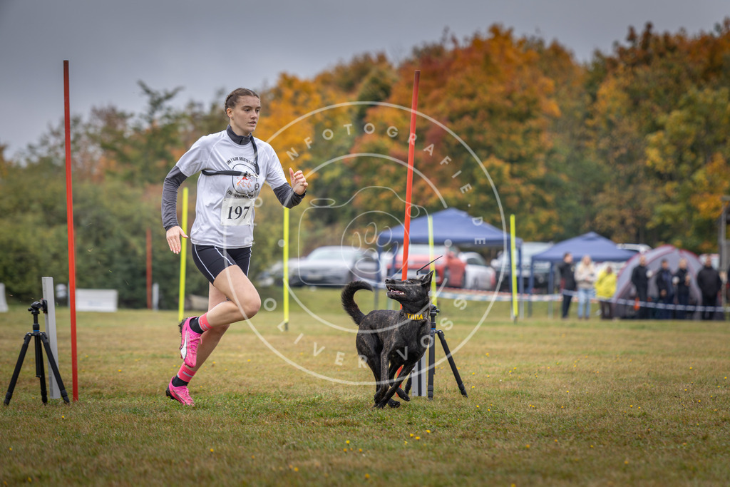 Pfotenfotografie_DV3A1112 | Hundefotografie, Tierfotograf, Pfotenfotografie, Fotoshooting Hund, Hunde Portrait, Hundesport, Hundeportraits, Heideshooting, Hunde, Sportfotograf, Hundefotograf, Turnierhundsport, THS,  - Realisiert mit Pictrs.com