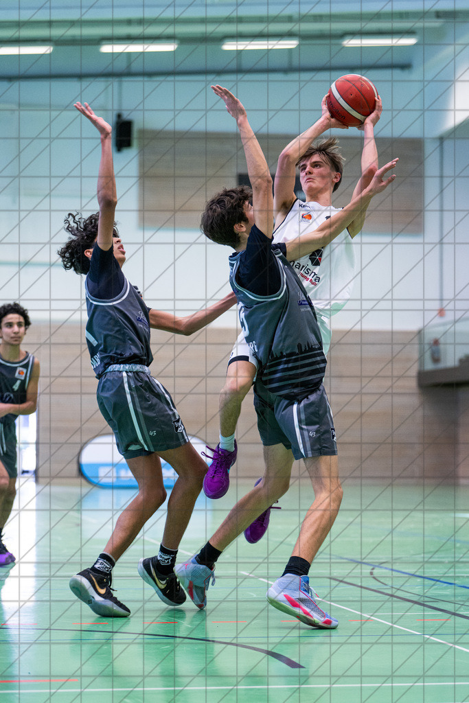 JBBL 24/25 | 02.02.2025 | Charisma Young Bulls vs. Bramfelder SV  | JBBL 24/25 | 02.02.2025 | Charisma Young Bulls vs. Bramfelder SV - - - - - CREDIT, www.bullenfotos.de, Martin König, Hörner Weg 40, D-49078 Osnabrück, +4917663732967, Nutzung und Weitergabe nur zu den vereinbarten Zwecken. Presseanfragen an Urheber. Alle Rechte beim Urheber. - - - - - - Realisiert mit Pictrs.com