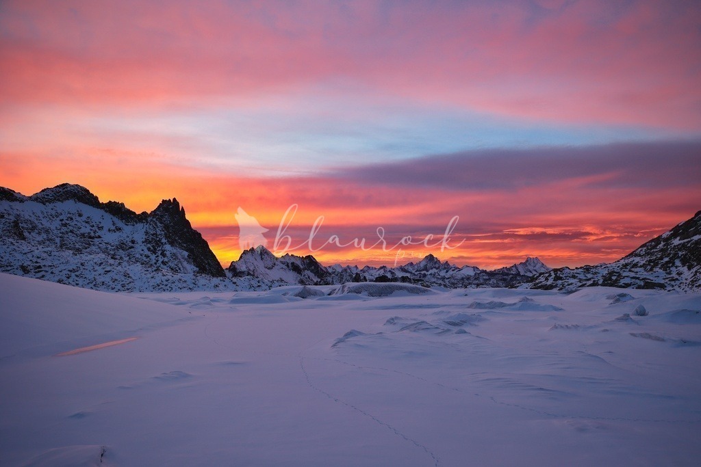 Natur_00005 | Sportbilder, Sportfotograf, Hochzeits- und Eventfotografin, Flugshows, Portraits und Tiershooting, Aviation, Downhill, Nationalleague, Swissleague, International